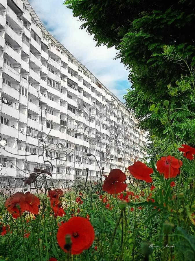 Apartament Wiewiorka Apartment Gdansk Luaran gambar